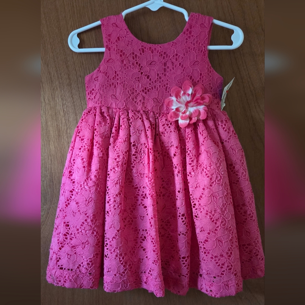 Pink Lace Dress with Floral Accent 12 Mo